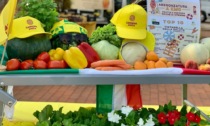 Domani “Tintarella day” al mercato di Campagna Amica a Pizzighettone