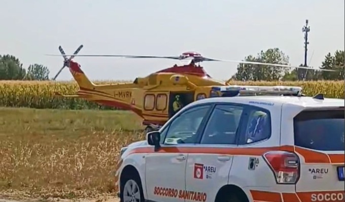 Cade mentre taglia i rami di un albero, è gravissimo