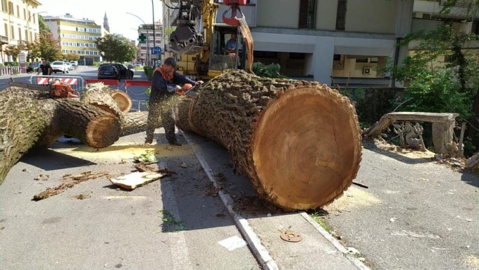 Iniziata la rimozione dell’albero che ha danneggiato il Ponte sul Morbasco