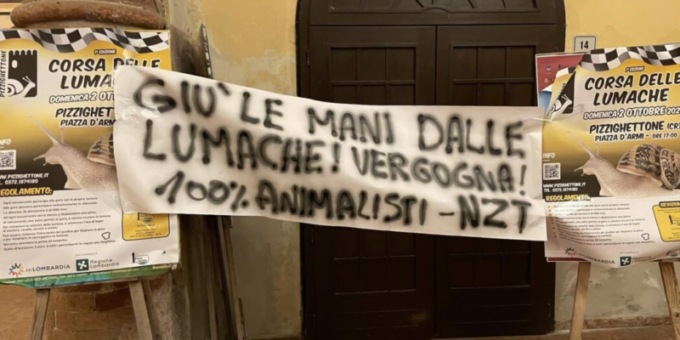 Gli animalisti attaccano la corsa delle lumache: “Pizzighettone vergogna della nazione”