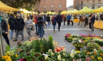 Domenica 11 settembre torna a Cremona il mercato di Campagna Amica
