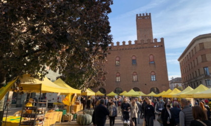 Domenica di allegria a Cremona con la Festa della Zucca e della Birra agricola