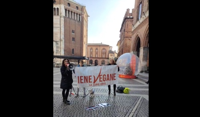 Blitz di Iene Vegane in piazza Stradivari contro l’abbattimento dei cinghiali