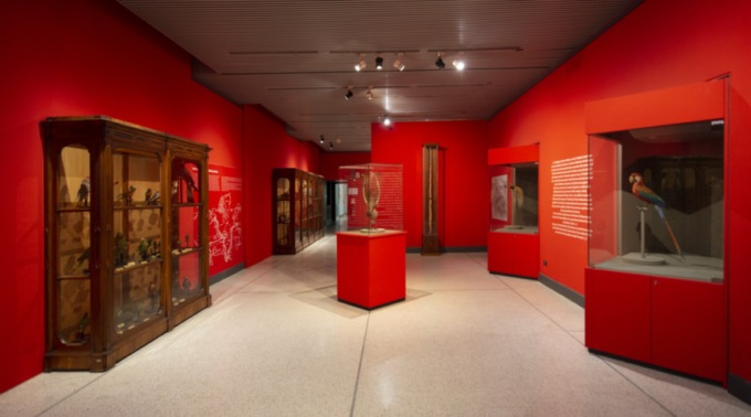 Proseguono gli appuntamenti organizzati dal Museo di Storia Naturale di Cremona