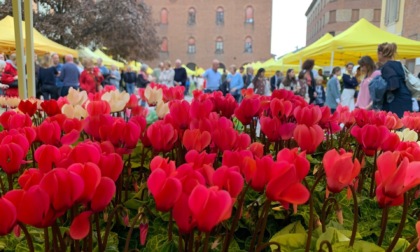 Mercato degli agricoltori e street-food contadino domenica in piazza Stradivari