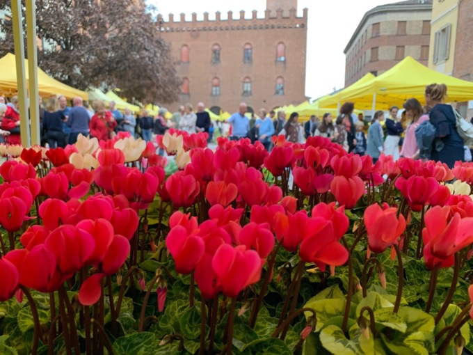 Mercato degli agricoltori e street-food contadino domenica in piazza Stradivari