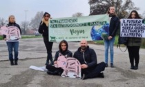 Iene Vegane annuncia un presidio alle Fiere Zootecniche Internazionali