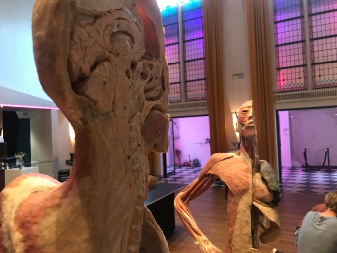 A Cremona arriva la mostra anatomica “Corpi Umani”