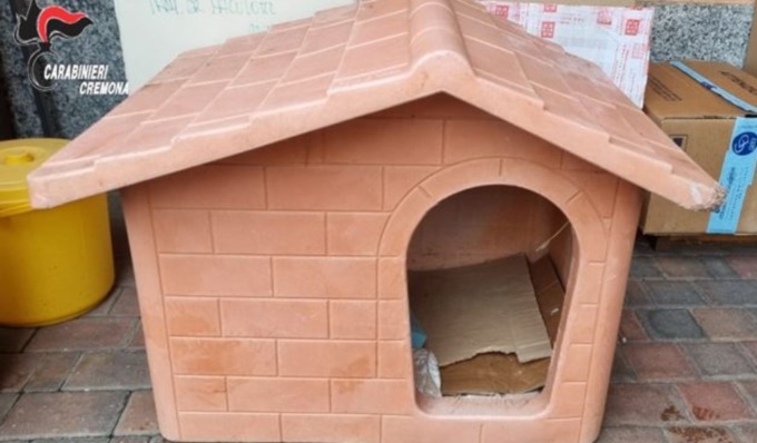 Ruba una cuccia per cani, ladro 21enne incastrato dalle telecamere