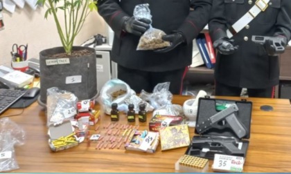 In casa droga, una serra di marijuana, materiale esplodente e armi: arrestato 29enne