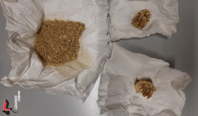 Trovato con bulbi di papavero da oppio: stupefacente sequestrato e segnalazione