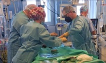 Prelievo multiorgano a Cremona regala speranza a otto persone: donato anche l'utero
