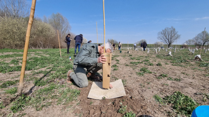 Riforestazione pubblica al Parco Oglio Sud, tutti insieme per ripristinare i boschi