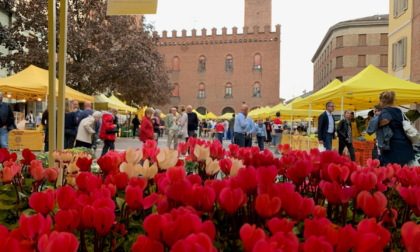 Campagna Amica domenica 12 marzo in piazza Stradivari