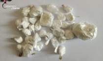 Numerosi involucri di cocaina trovati nascosti in una siepe