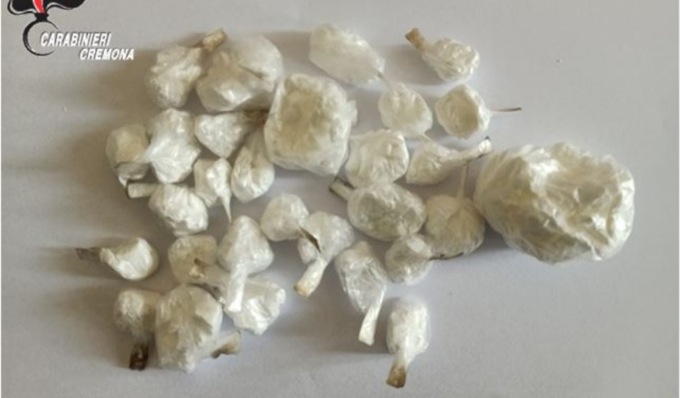 Numerosi involucri di cocaina trovati nascosti in una siepe
