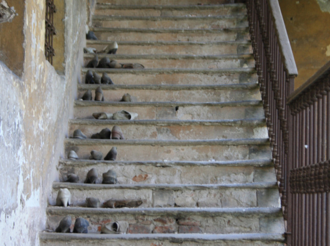 Continuano le Passeggiate Cremonesi, il tema è “Gli ebrei a Cremona dal 1500 al 1946”