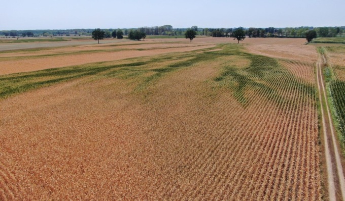 Cambiamenti climatici e Agricoltura, quali strategie mettere “in campo”