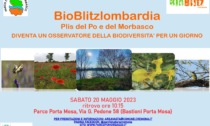 Un giorno alla scoperta della biodiversità, della flora e della fauna locale: "BioBlitz" al Parco del Po e del Morbasco