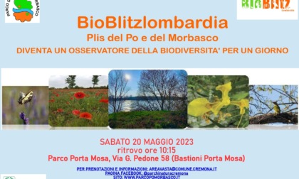 Un giorno alla scoperta della biodiversità, della flora e della fauna locale: "BioBlitz" al Parco del Po e del Morbasco