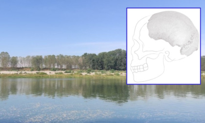 Il Po in secca restituisce un cranio umano arcaico