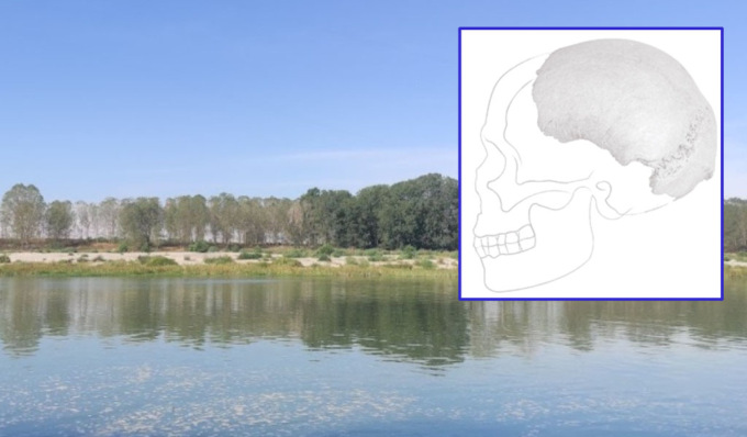 Il Po in secca restituisce un cranio umano arcaico