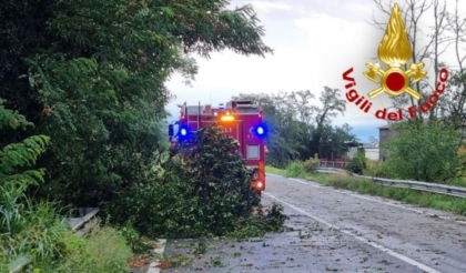 Maltempo in provincia di Cremona, notte di super lavoro per i Vigili del Fuoco