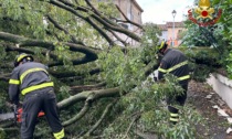Maltempo Lombardia, i danni in provincia di Cremona ammontano a oltre 1milione e 700mila euro