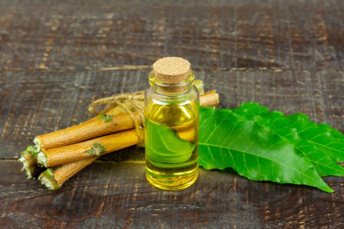 Olio di neem: il miglior rimedio naturale per allontanare insetti e parassiti nel cane