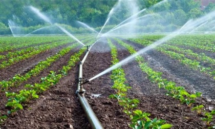 Coldiretti Cremona: “Più acqua per l'agricoltura, no a ulteriori riduzioni dei rilasci dai laghi"