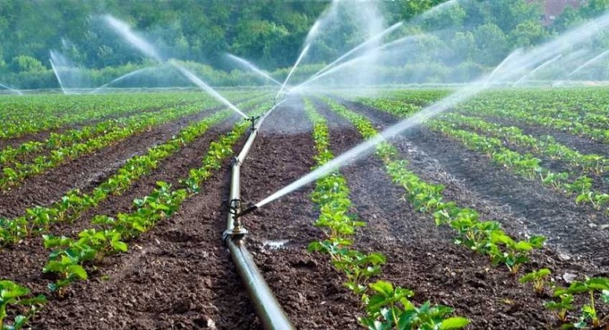 Coldiretti Cremona: “Più acqua per l’agricoltura, no a ulteriori riduzioni dei rilasci dai laghi”