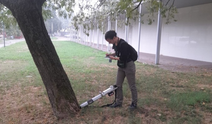 Al via la verifica delle alberature, la prima fase interessa duemila piante