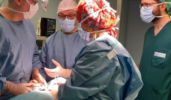 Chirurgia endoscopia, l’otorinolaringoiatria di Cremona organizza un corso per specialisti