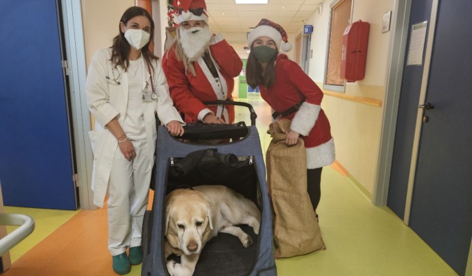 In pediatria a Crema arriva “Boston” un Babbo Natale a quattro zampe per consegnare doni ai più piccoli
