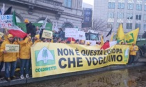 Coldiretti in piazza a Bruxelles contro le norme europee, presente anche delegazione cremonese