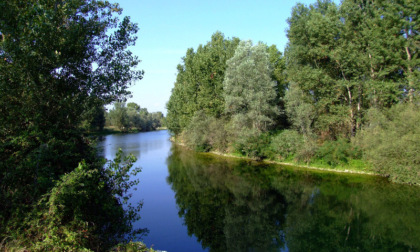 Maltempo, l'argine dell'Oglio si rompe ed il mezzo agricolo finisce in acqua