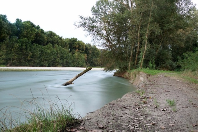 Parco Oglio Nord… perchè è proprio la natura a regalarci gli spettacoli più belli ed emozionanti
