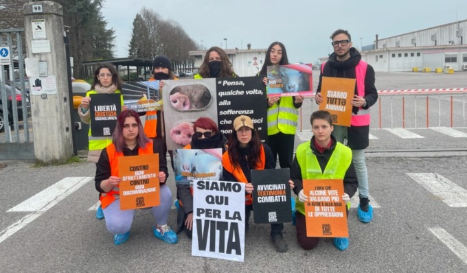Attivisti all’esterno del mattatoio di maiali di Castelverde: “Siamo qui per la vita”