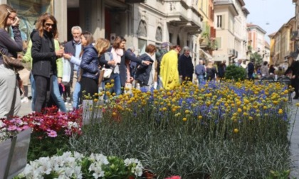 Cosa fare a Cremona e provincia: gli eventi del weekend (20 - 21 aprile 2024)