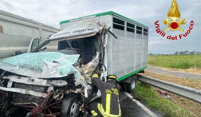 Schianto tra mezzo pesante e camion trasporto cavalli, autista in ospedale in elisoccorso