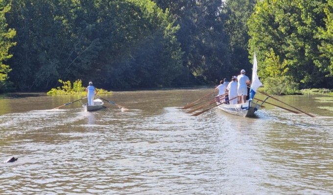 Cosa fare a Cremona e provincia: gli eventi del weekend (22 – 23 giugno 2024)