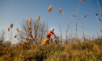 Terra Fiume, al via il festival delle ciclovie cremonesi: tra settembre e ottobre escursioni in bici ed eventi culturali