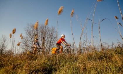 Terra Fiume, al via il festival delle ciclovie cremonesi: tra settembre e ottobre escursioni in bici ed eventi culturali