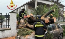 Violento temporale a Cremona: allagamenti e diversi alberi caduti