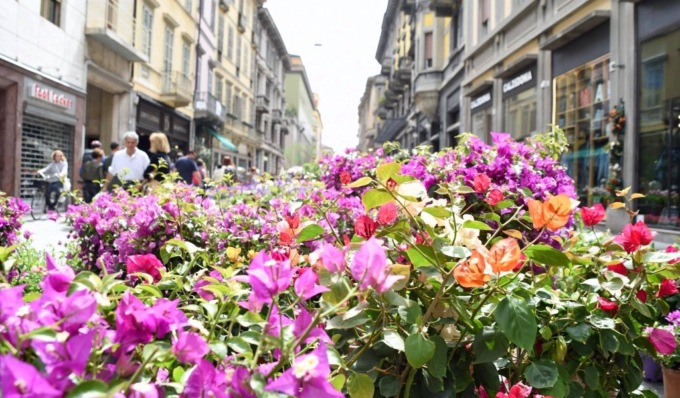 Cosa fare a Cremona e provincia: gli eventi del weekend (21 – 22 settembre 2024)