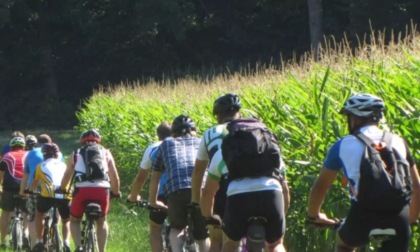 Quattro itinerari in bicicletta alla scoperta del territorio tra cultura e prodotti tipici