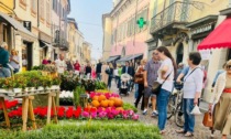 Crema Fiori e Sapori, un'edizione imperdibile per gli amanti della natura e dell’artigianato