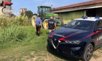 Nell'azienda agricola lavoratori in nero e senza permesso di soggiorno, sospesa l'attività