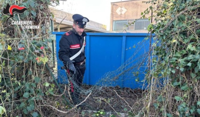 Tentano il furto in azienda di cosmetici, ma arrivano i Carabinieri e fuggono a mani vuote