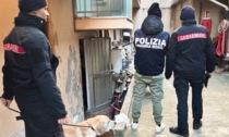 Minacciato con un coccio di bottiglia e colpito al volto con spray al peperoncino, due minorenni arrestati